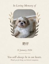01-肥仔-e1783427710997