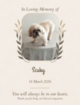 Furwell - Obituary (4:5) - Scuby