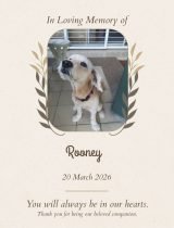 Furwell - Obituary (4:5) - Rooney