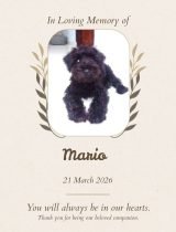 Furwell - Obituary (4:5) - Mario