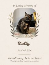 Furwell - Obituary (4:5) - Molly