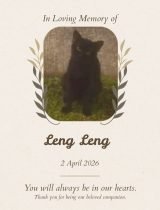 Furwell - Obituary (4:5) - Leng Leng