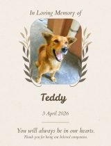 Furwell - Obituary (4:5) - Teddy
