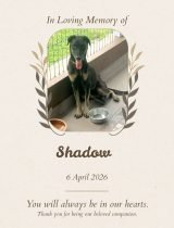 Furwell - Obituary (4:5) - Shadow