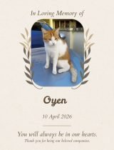 Furwell - Obituary (4:5) - Oyen