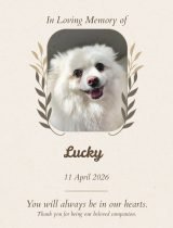 Furwell - Obituary (4:5) - Lucky
