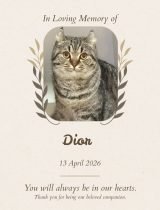 Furwell - Obituary (4:5) - Dior