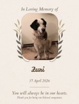 Furwell - Obituary (4:5) - Zuri
