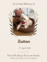 Furwell - Obituary (4:5) - Button
