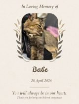 Furwell - Obituary (4:5) - Babe