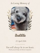 Furwell - Obituary (4:5) - Bubble