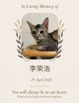 Furwell - Obituary (4:5) - 李荣浩