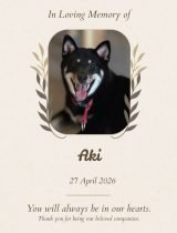Furwell - Obituary (4:5) - Aki