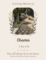 Furwell - Obituary (4:5) - Chester