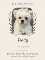 Furwell - Obituary (4:5) - Teddy