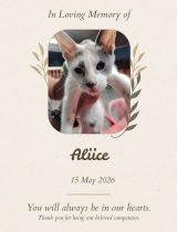 Furwell - Obituary (4:5) - Aliice