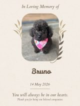 Furwell - Obituary (4:5) - Bruno