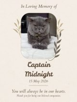Furwell - Obituary (4:5) - Captain Midnight