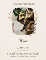 Furwell - Obituary (4:5) - Nico
