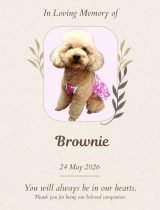 Furwell - Obituary (4:5) - Brownie