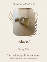 46-Mochi-e1783426925701