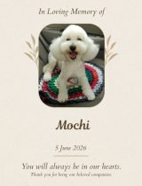 Furwell - Obituary (4:5) - Mochi