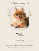 Furwell - Obituary (4:5) - Nala