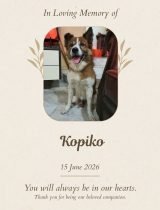 Furwell - Obituary (4:5) - Kopiko