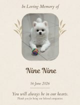 Furwell - Obituary (4:5) - Nine Nine