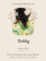 54-Bobby-e1783427011362