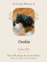 Furwell - Obituary (4:5) - Cookie