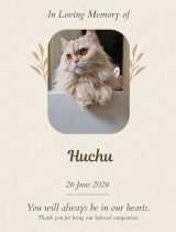 Furwell - Obituary (4:5) - Huchu