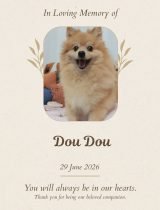 Furwell - Obituary (4:5) - Dou Dou
