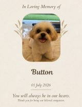 63-Button-e1783435239257
