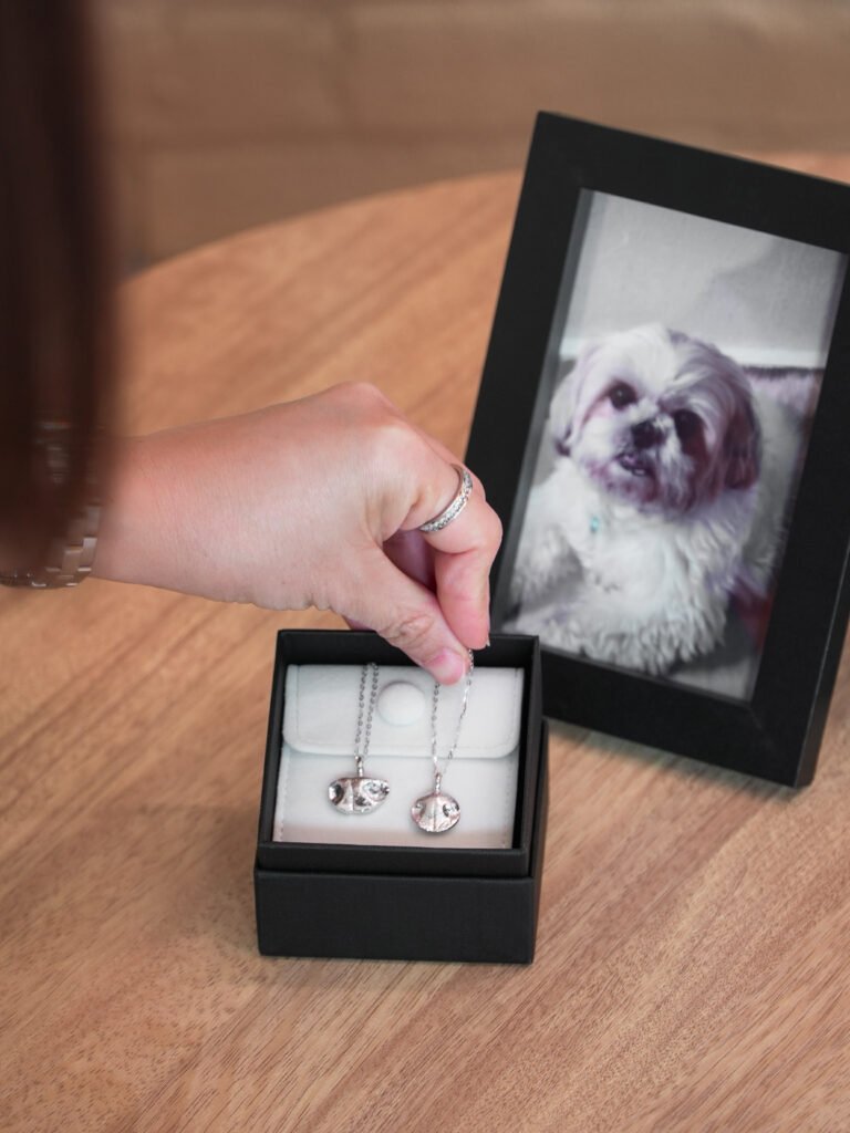 Silver pet memorial necklace beside a framed pet photo at Furwell