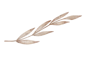 Decorative leaf branch graphic