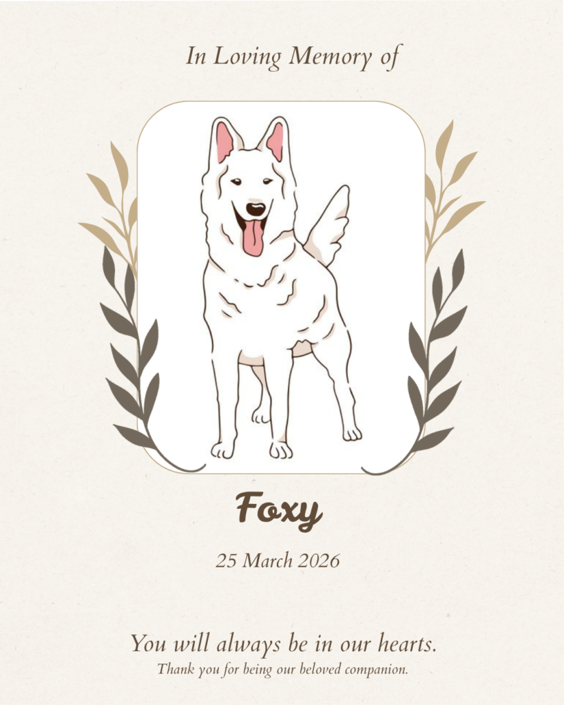 Pet memorial tribute board for Foxy the dog — Furwell