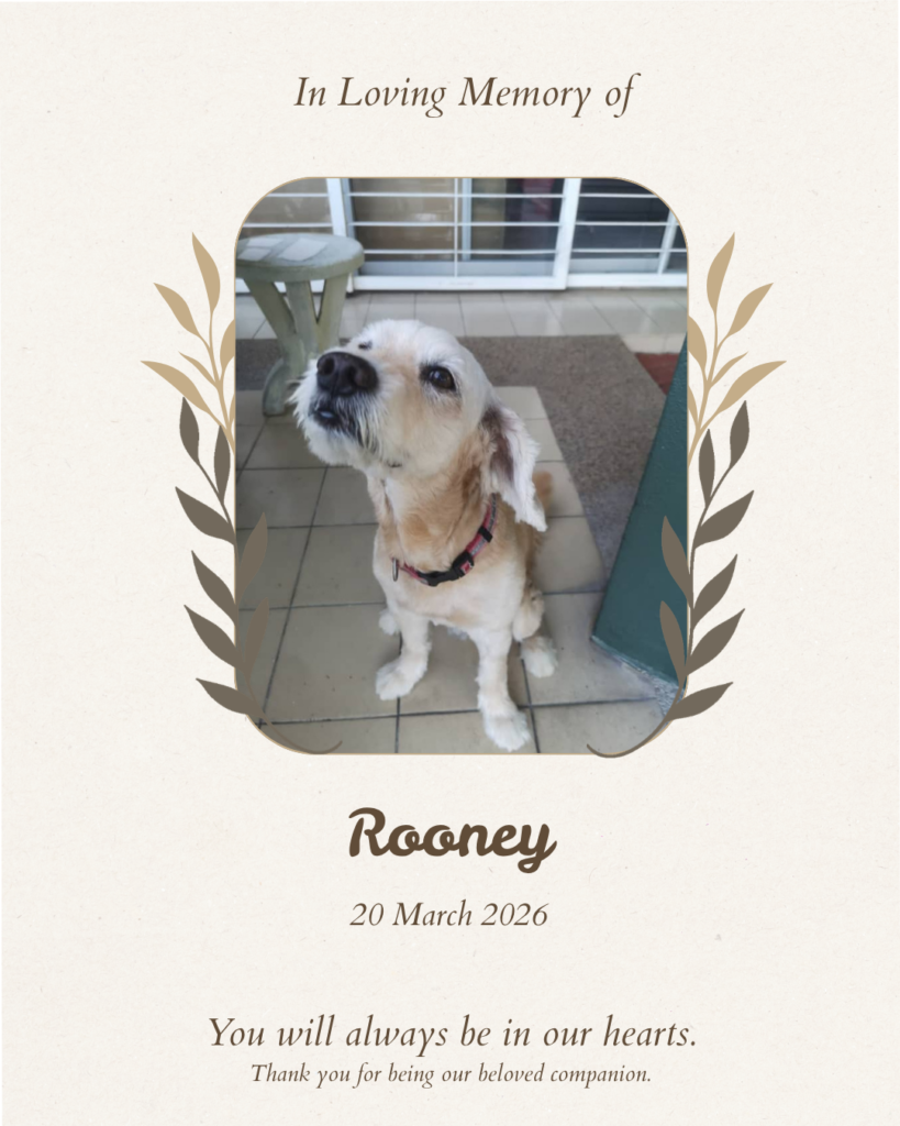 Pet memorial tribute board for Rooney the dog — Furwell