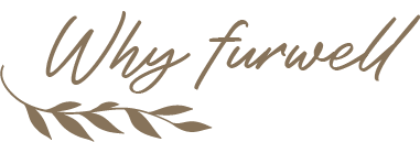 Why Furwell Sticker